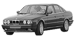 BMW E34 DF1069 Fault Code